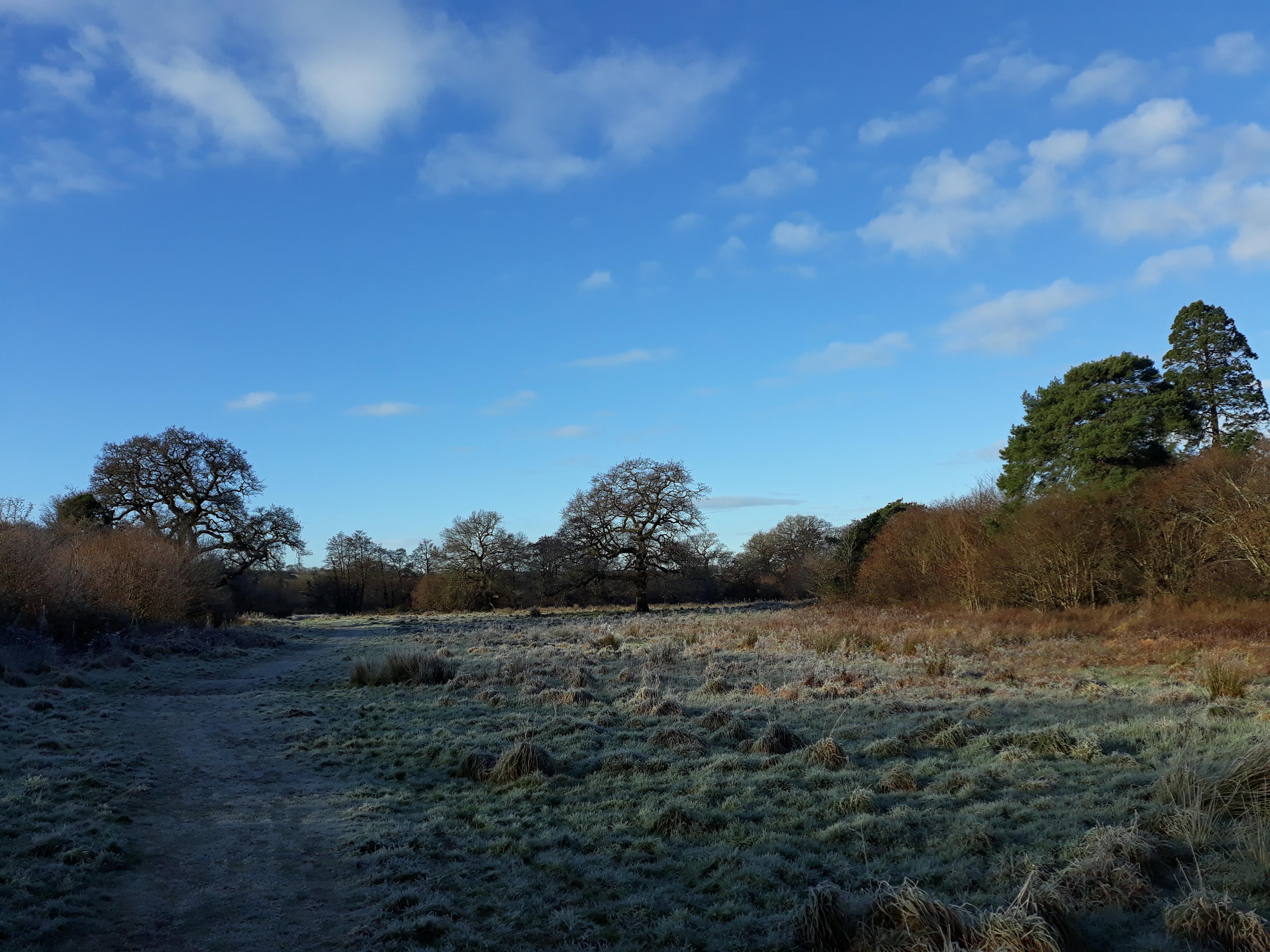 Lanlay meadow